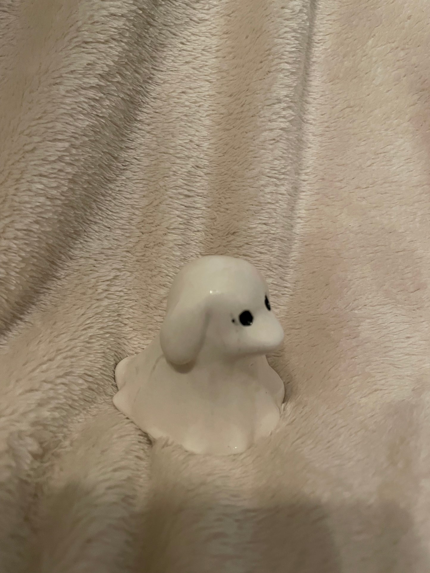 Halloween Spookje Huisdier