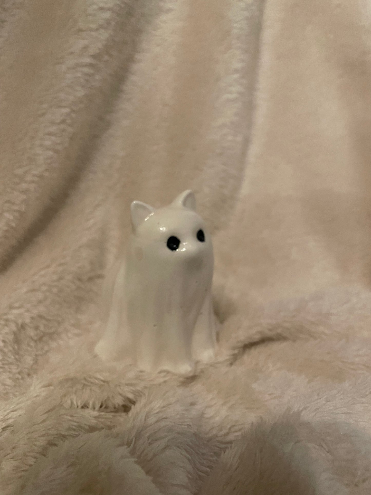 Halloween Spookje Huisdier