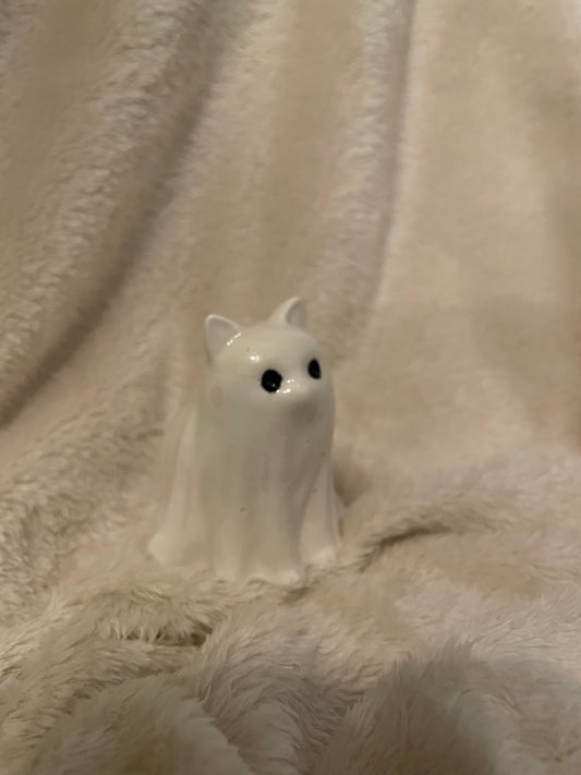 Halloween Spookje Huisdier