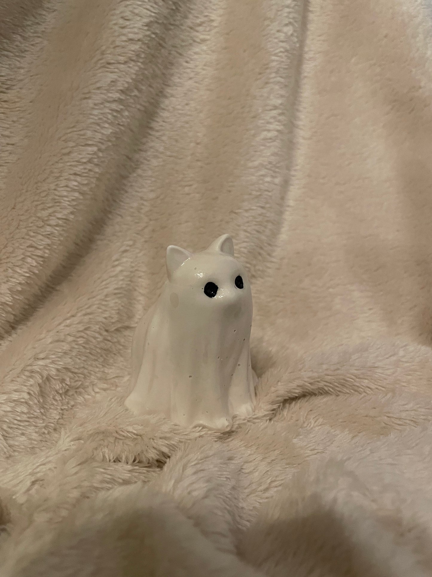 Halloween Spookje Huisdier