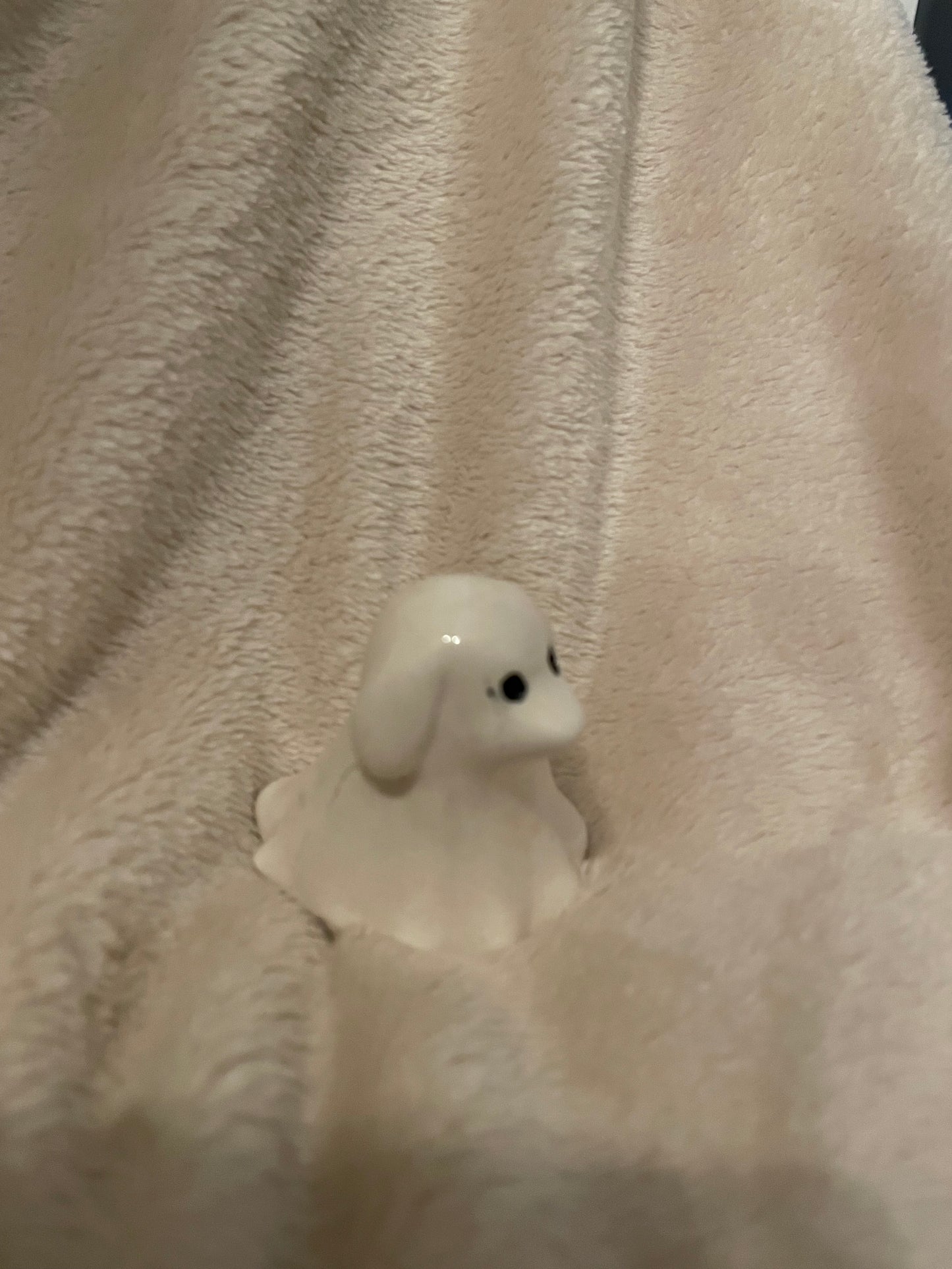 Halloween Spookje Huisdier