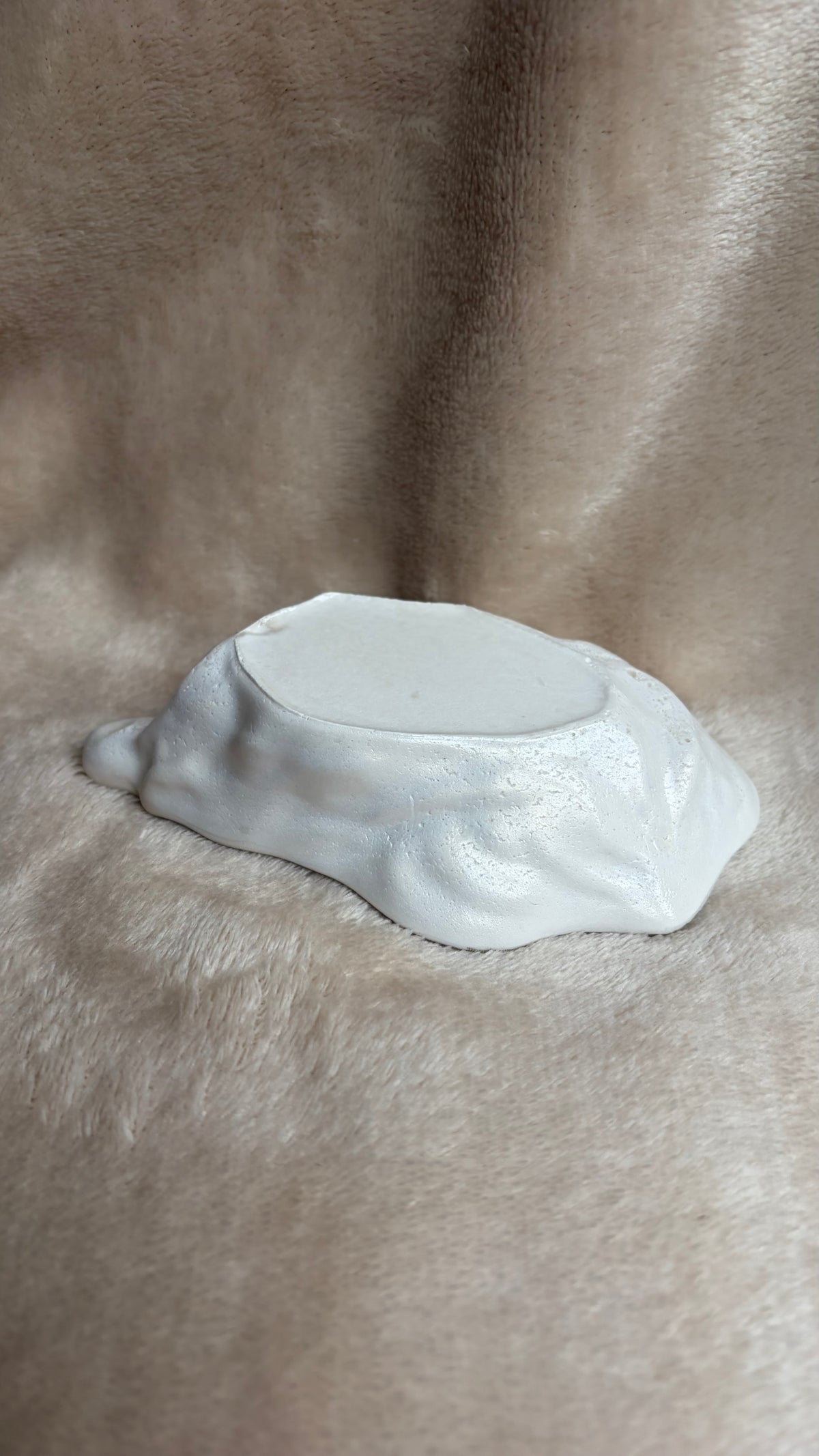 Oester schaaltje