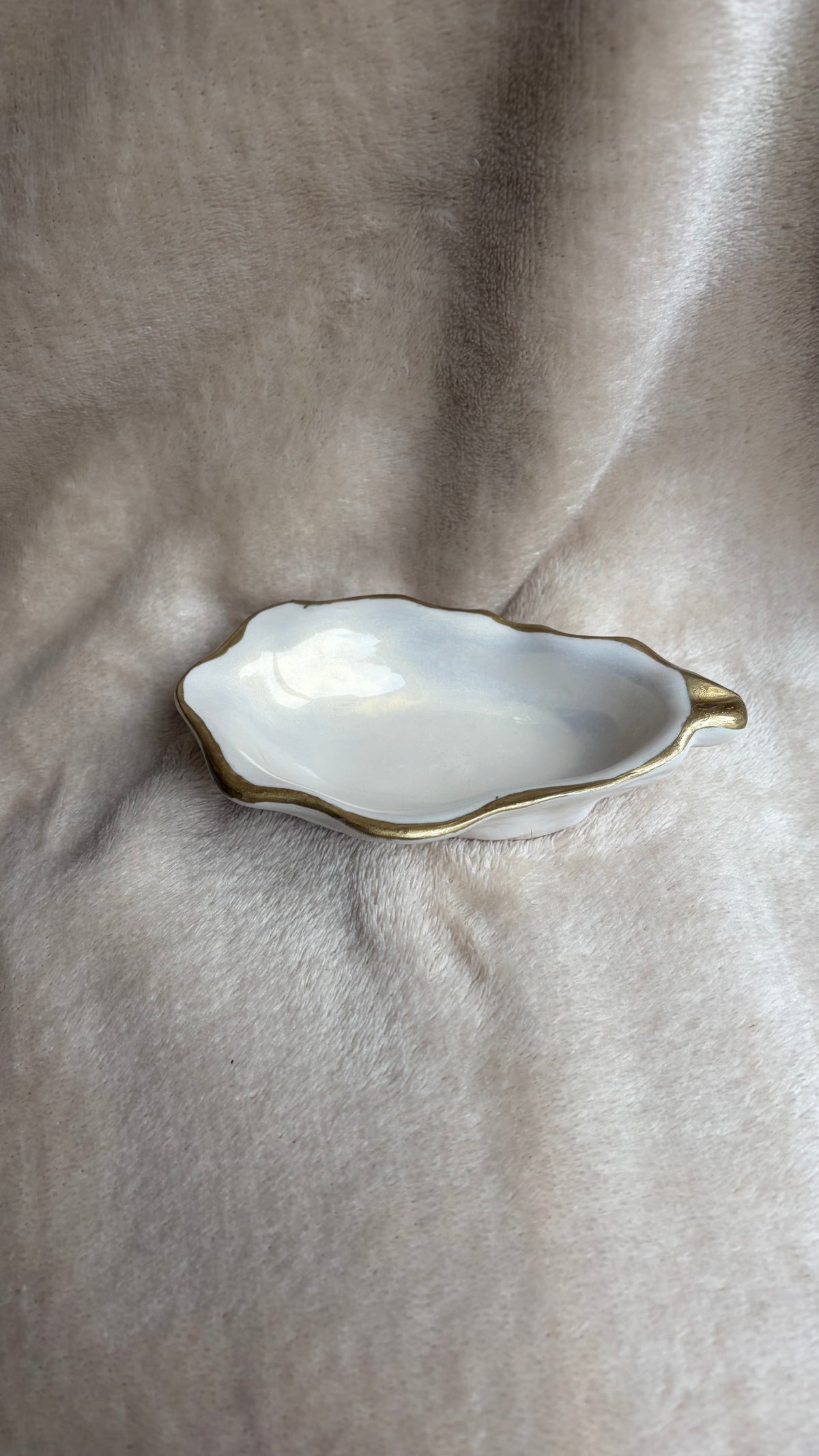 Oester schaaltje