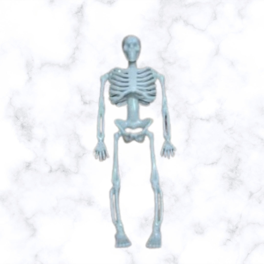 Gift Item - Skeletjes